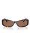  Brown Tortoise / Brown
