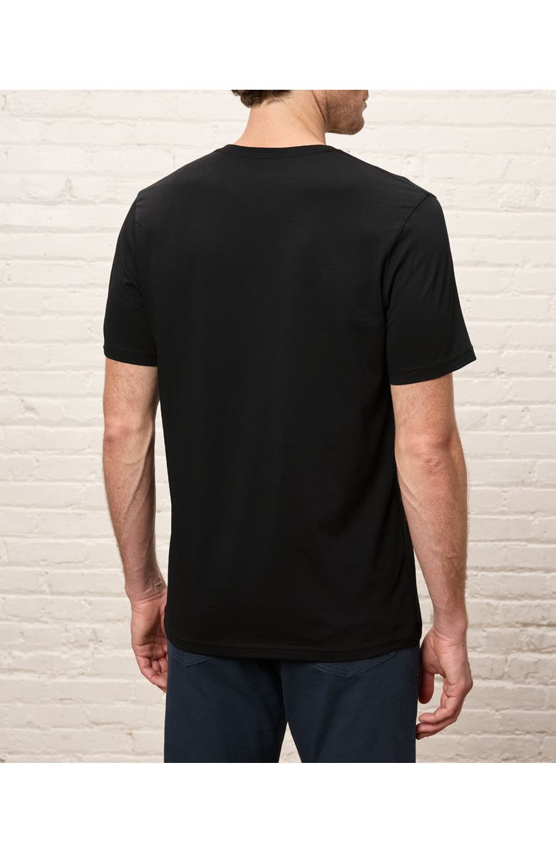 Pact Organic Cotton Men's Softspun Essential V-Neck Tee, Alternate, color, Black