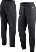 Nike Men's Nike Black Las Vegas Raiders Sideline Logo Performance Pants