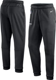 Nike Men's Nike Black Las Vegas Raiders Sideline Logo Performance Pants