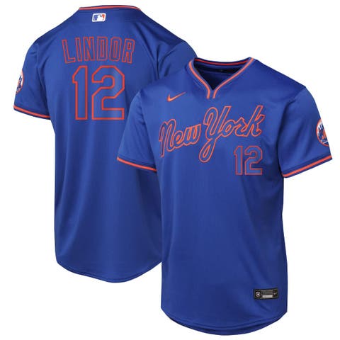 Youth Nike Francisco Lindor Royal New York Mets Alternate Limited Player Jersey