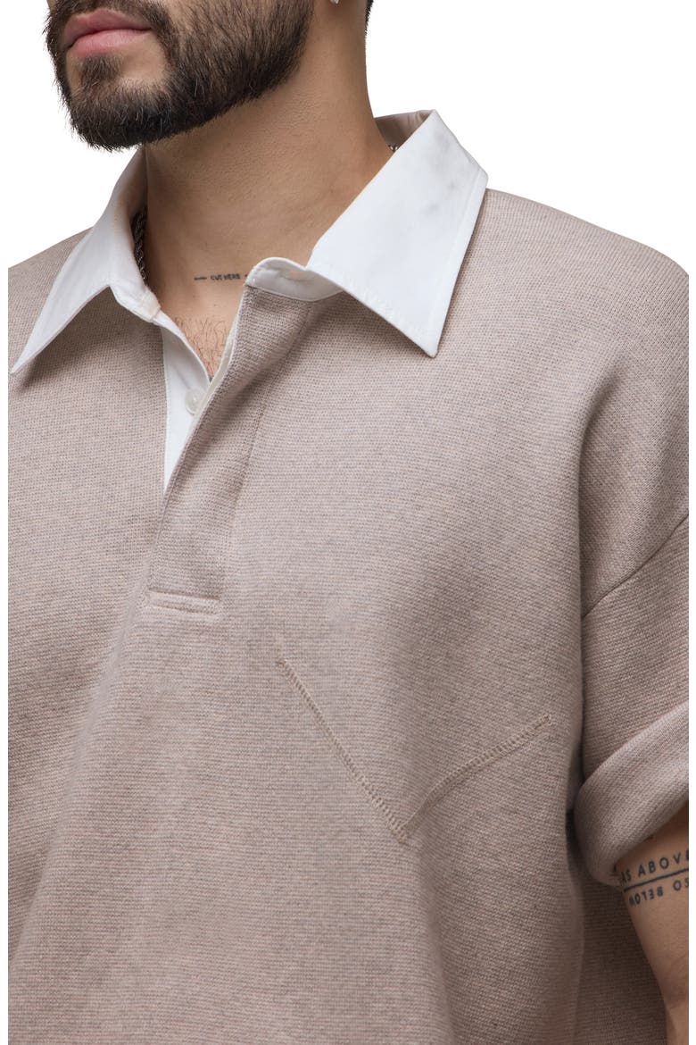 Contrast Collar Cotton & Cashmere Polo, Alternate, color, FLORENCE