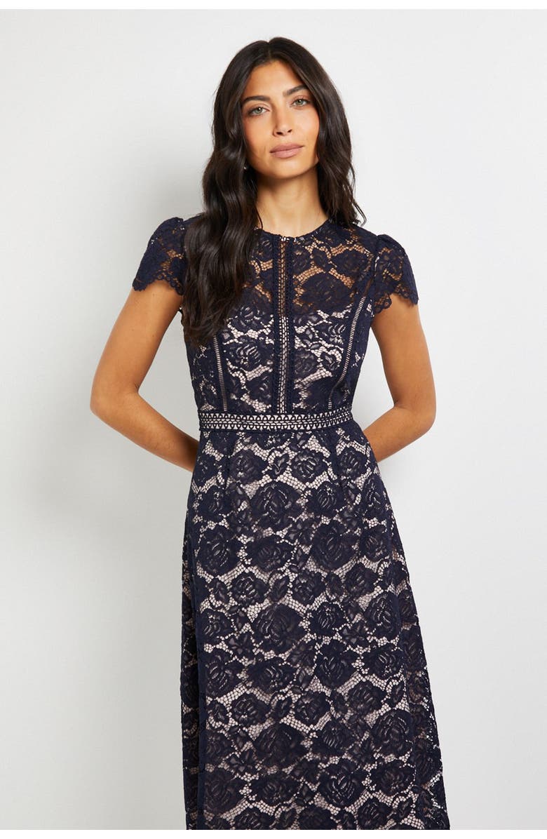 Wallis Lace Fit And Flare Midi Dress, Alternate, color, Navy