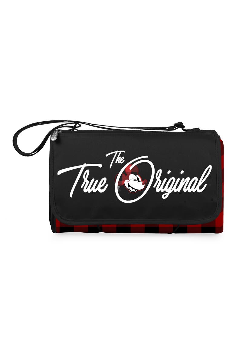 Blanket Tote Outdoor Picnic Blanket, Main, color, RED