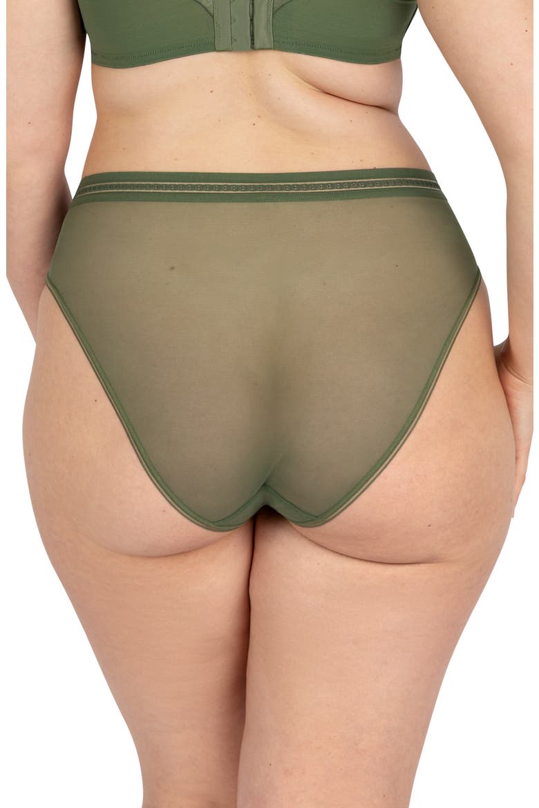 Sheer Mesh High Cut Briefs, Alternate, color, BRONZE GREEN