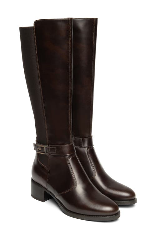 Nerogiardini Leather Stretch Buckle Knee Boots In Brown