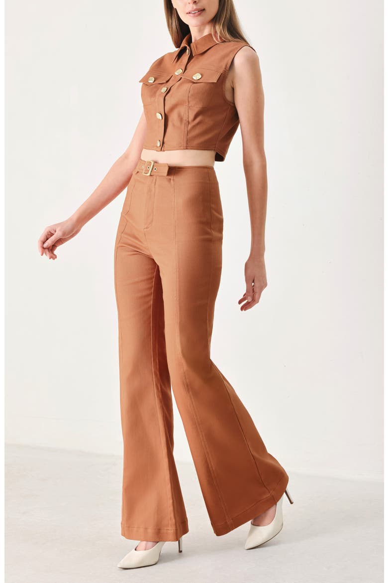 Belted Flare Leg Pants, Alternate, color, TERRACOTTA