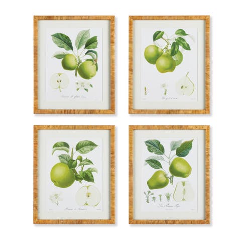 Fruit Study Set of 4
