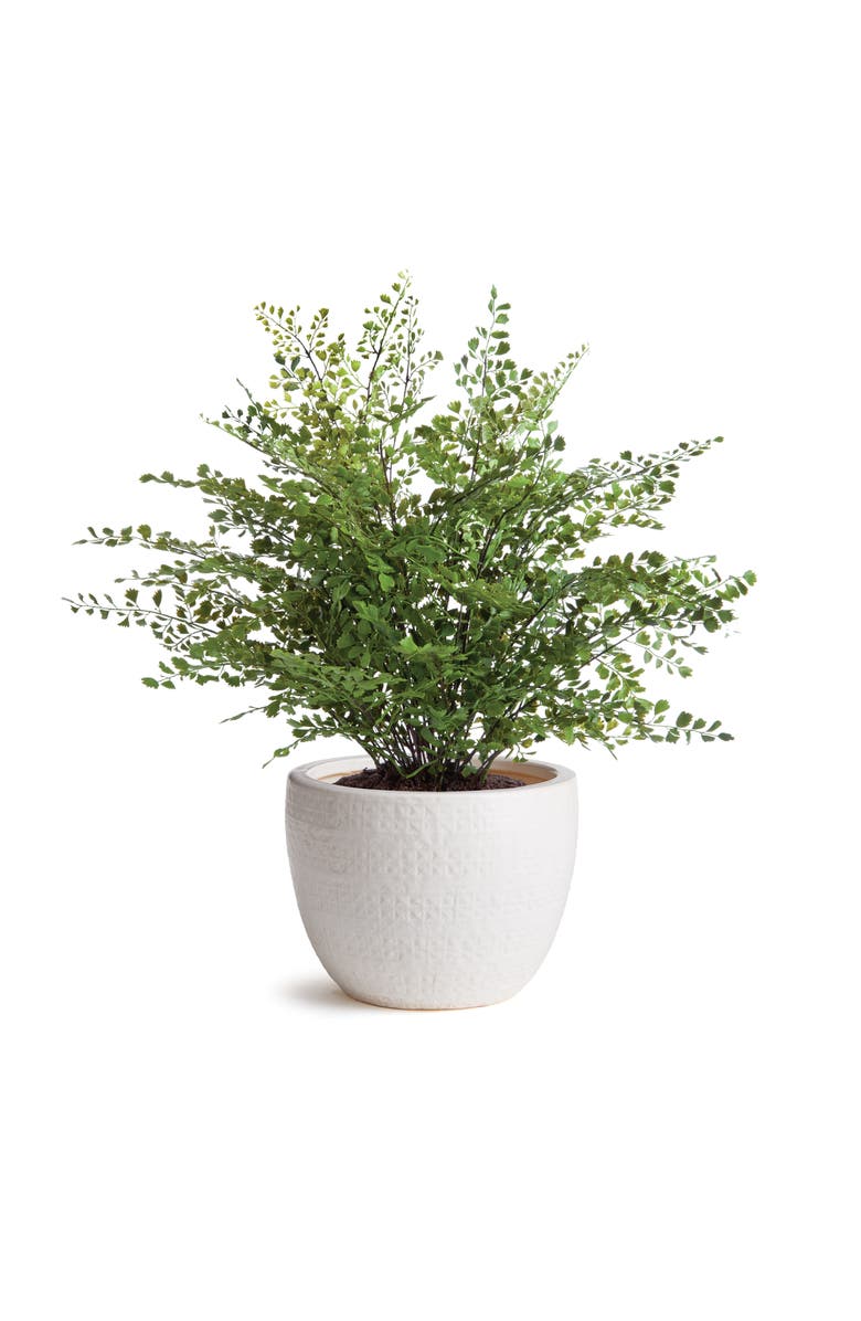 Napa Home & Garden Shawna Pot, Alternate, color, White