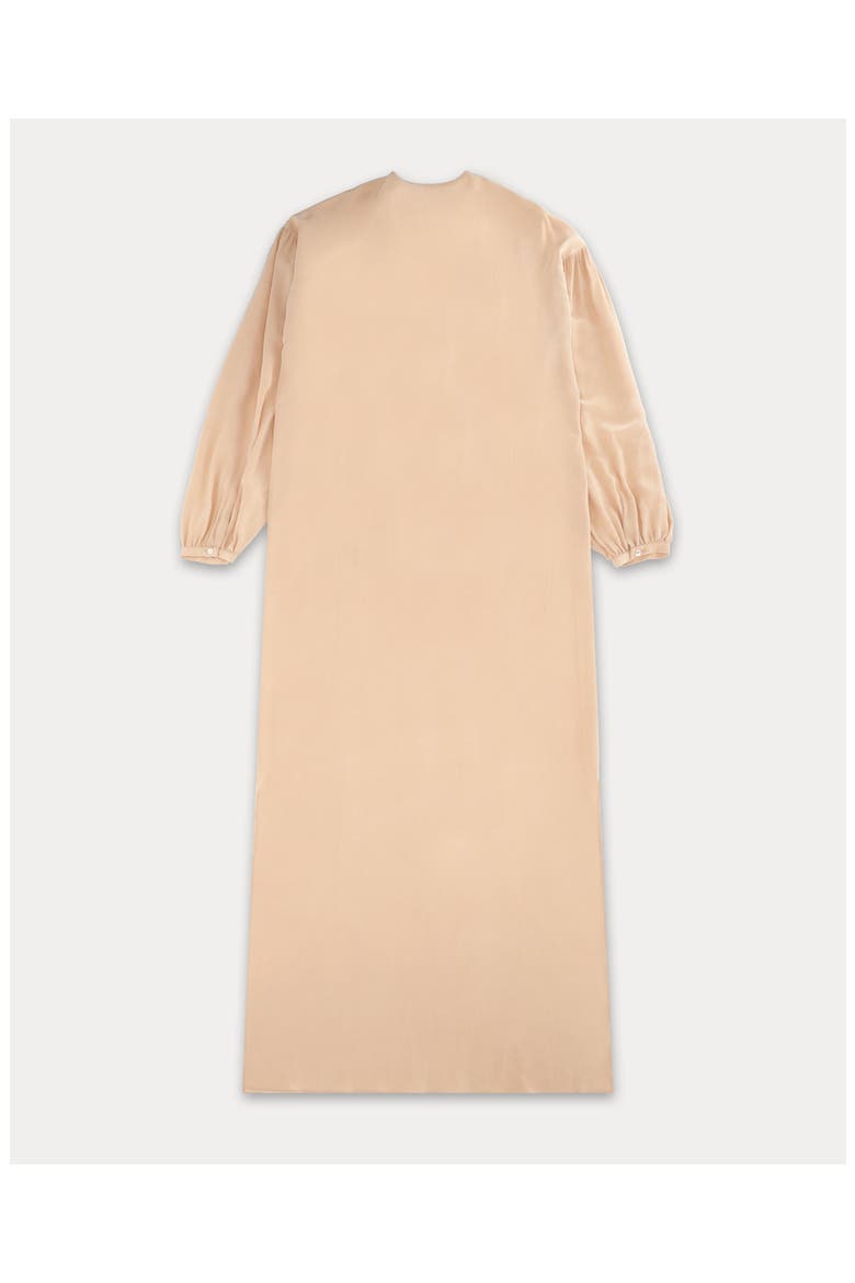 Allegra Embroidered Silk Dress, Alternate, color, Beige