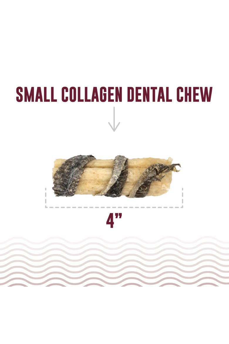 Collagen Dental Chew Beef and Cod Skin 12 Pack, 4 Inch Dog Treat, Alternate, color, Multicolored