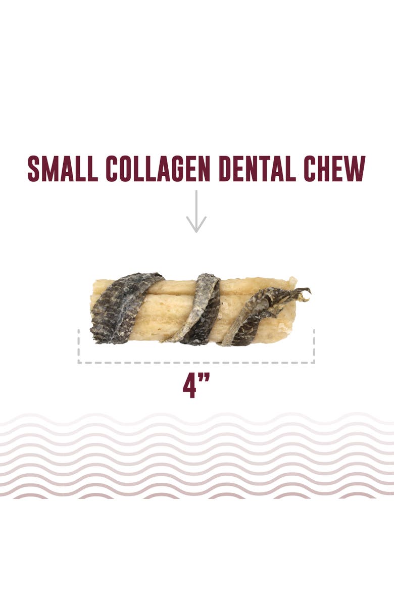 ICELANDIC+ Collagen Dental Chew Beef and Cod Skin 12 Pack, 4 Inch Dog Treat, Alternate, color, Multicolored