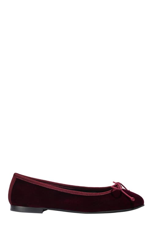 Margaux The Demi Flat In Burgundy