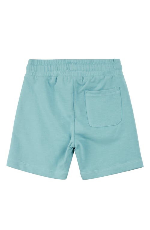 Miles The Label Boys' Reef Terry Shorts - Little Kid, Big Kid In Blue