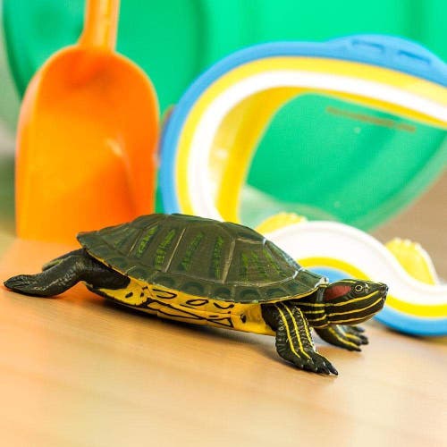SAFARI LTD. SAFARI LTD. RED-EARED SLIDER TURTLE 