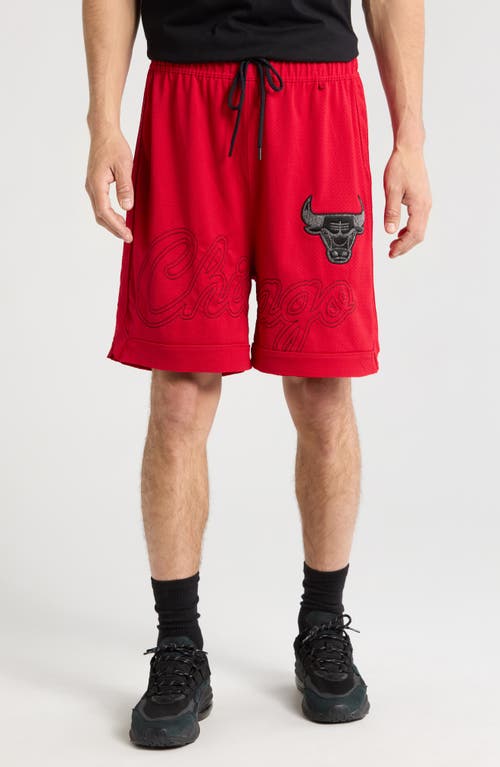 PURPLE BRAND PURPLE BRAND X NBA CHICAGO BULLS MESH ATHLETIC SHORTS