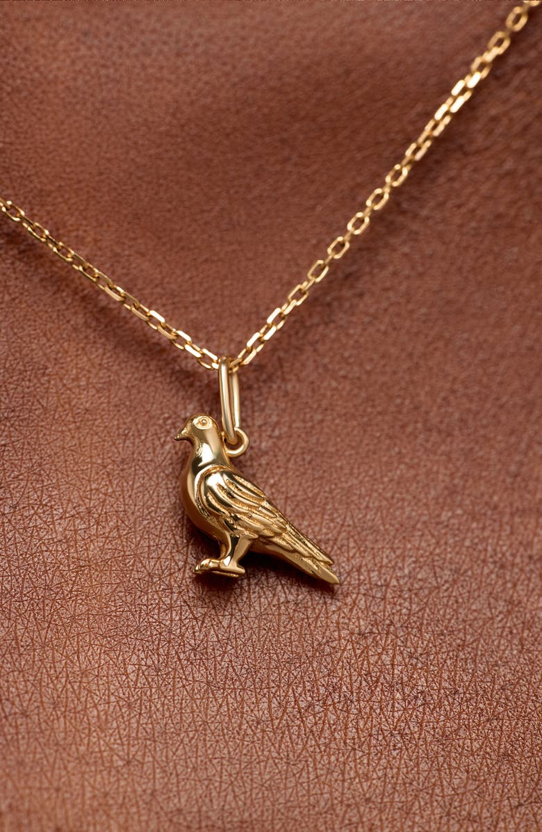 Ana Luisa Solid Yellow Gold - Pigeon Charm Necklace, Alternate, color, Gold