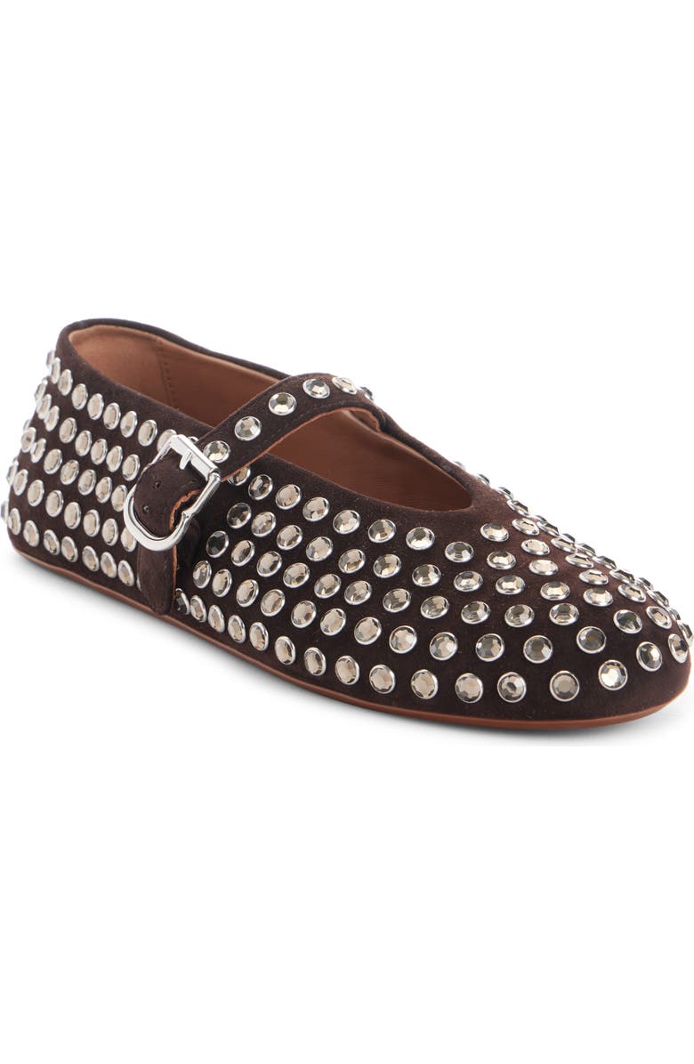 Alaïa Crystal Mary Jane Ballet Flat, Main, color,