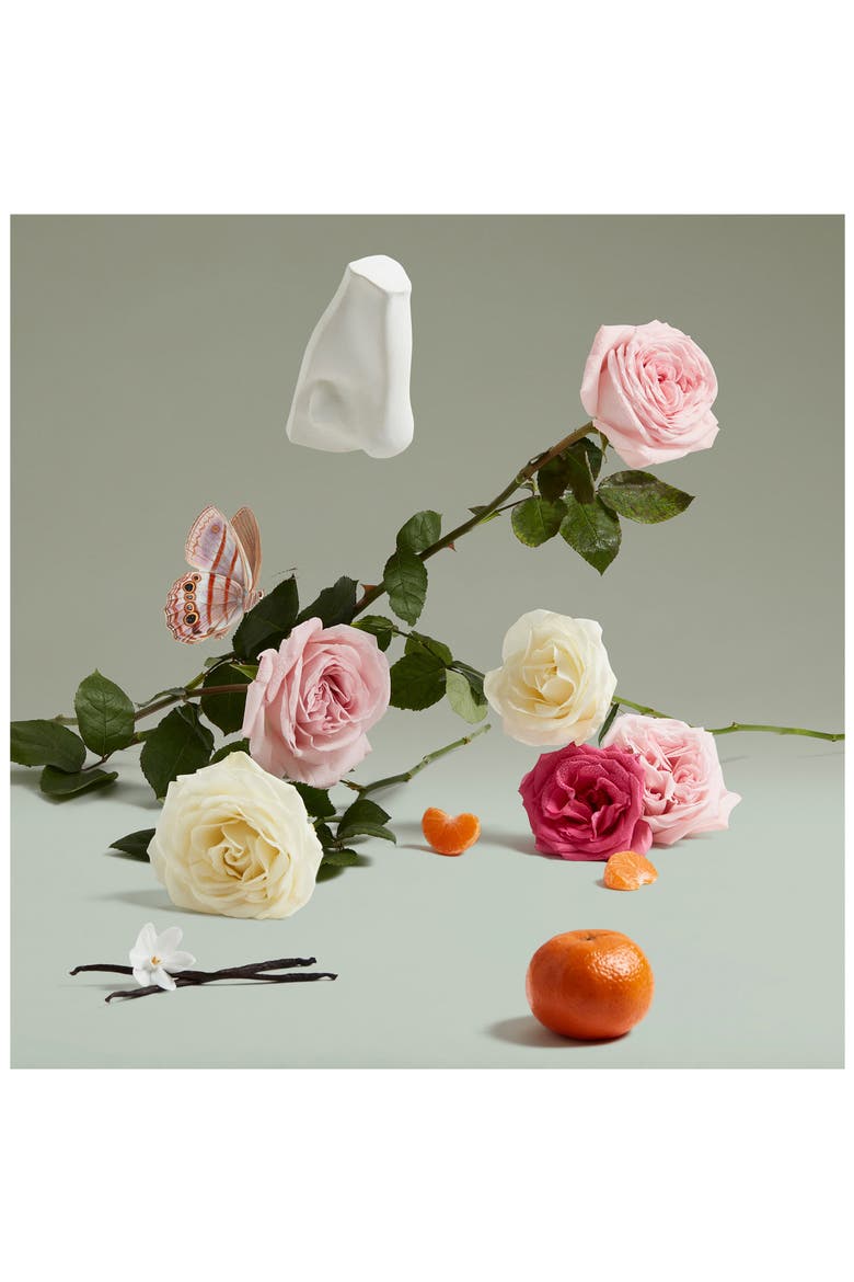 Coveted Duchess Rose Eau de Parfum, Alternate, color, NO COLOR