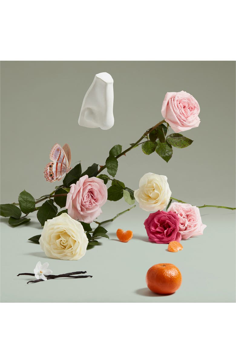 Penhaligon's Coveted Duchess Rose Eau de Parfum, Alternate, color,