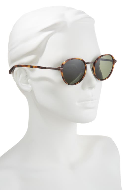 Ted Baker London 51mm Polarized Round Sunglasses In Tortoise