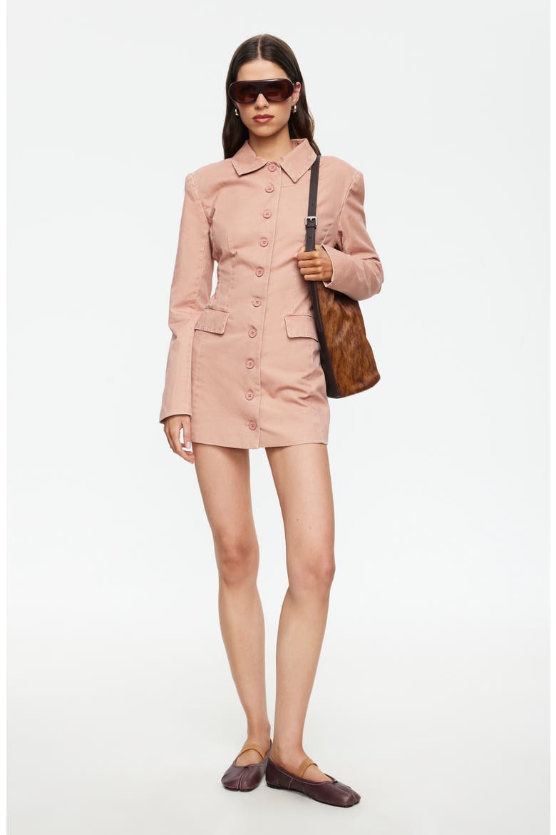 Cheri Long Sleeve Minidress, Alternate, color, ROSE