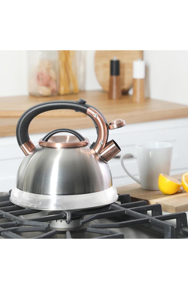 Mr. Coffee Flintshire 2.2 Quart Stainless Steel Whistling Tea Kettle W/ Nylon Handle, Alternate, color, Metallic Silver