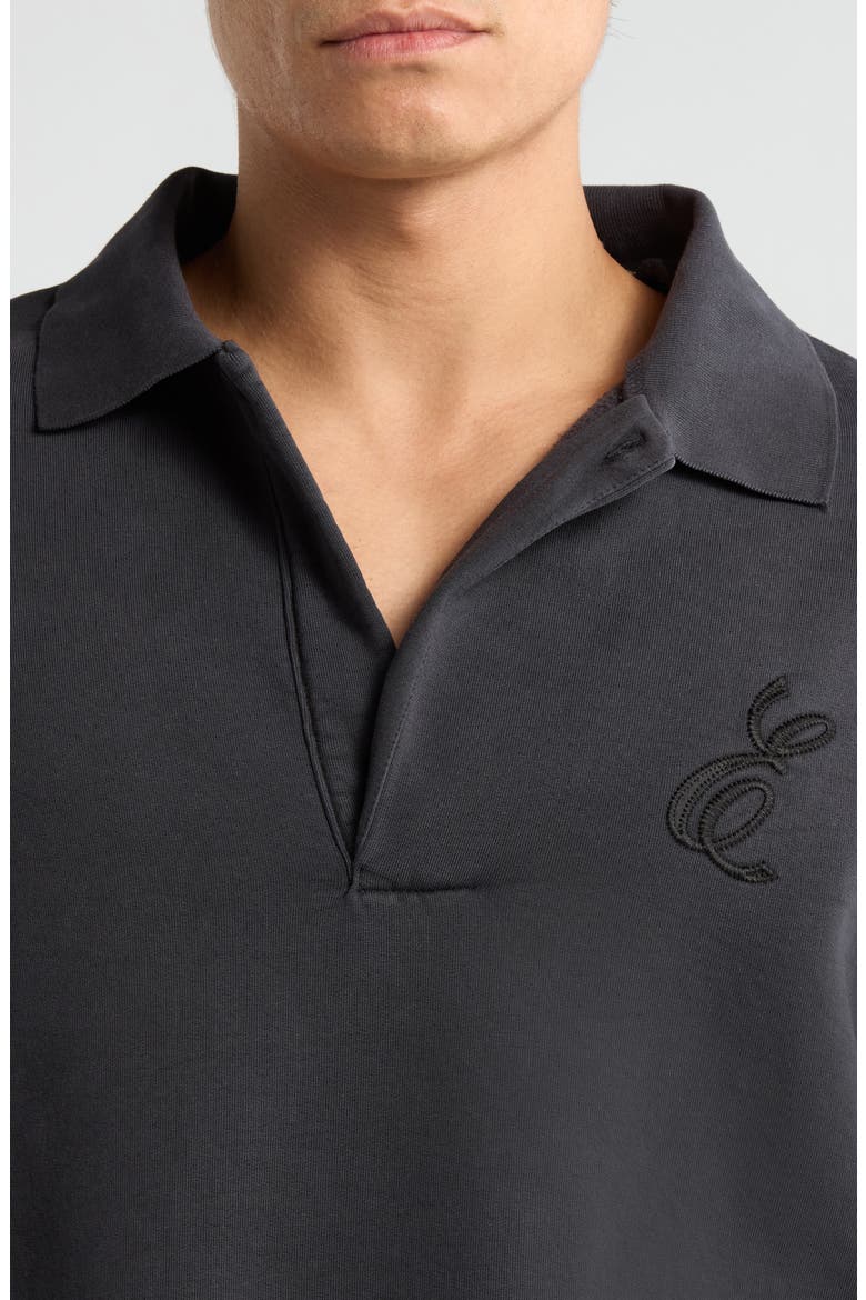 Embroidered Classic Cotton Fleece Polo Sweatshirt, Alternate, color, VINTAGE BLACK