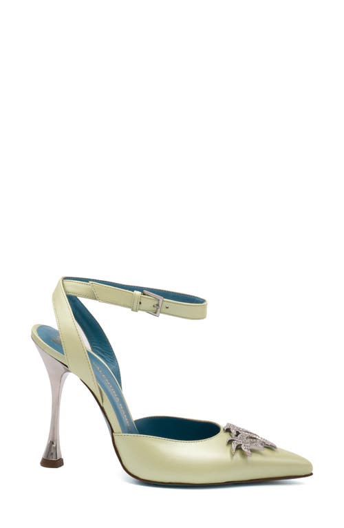 Valentina Rangoni Sirena Palm Tree Appliqué Pump