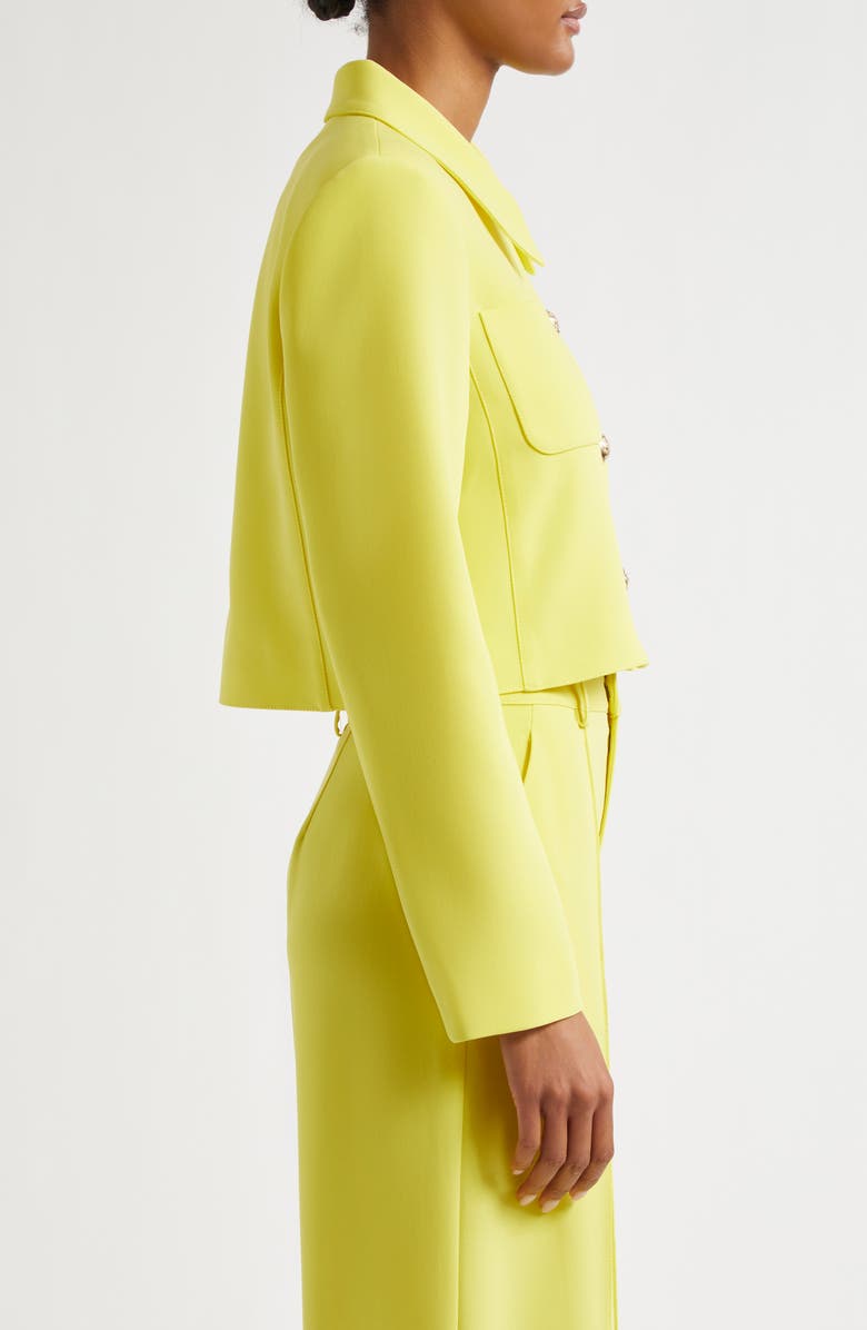 Cinq à Sept Amanda Crop Jacket, Alternate, color, 