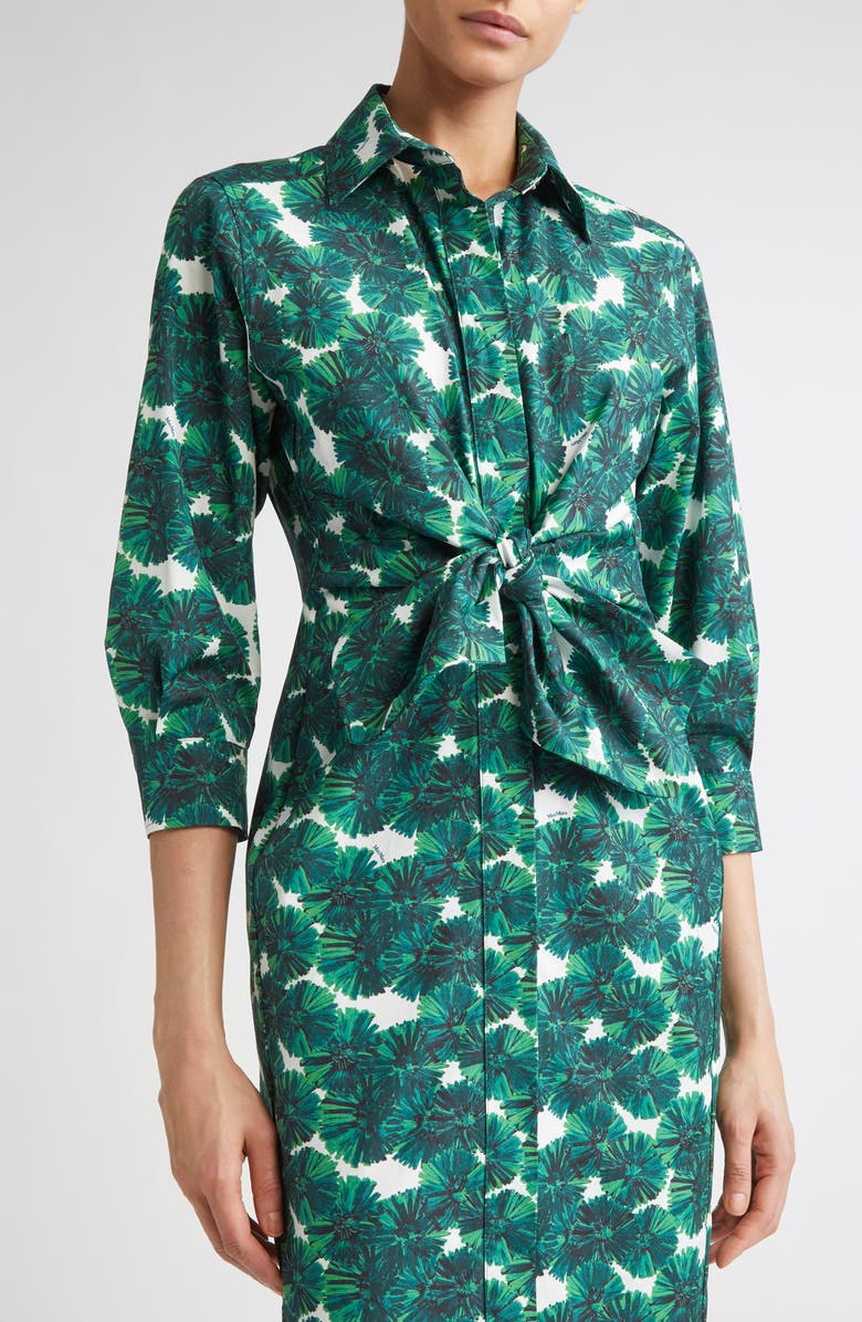 Max Mara Maremma Cotton Poplin Shirtdress, Alternate, color, 