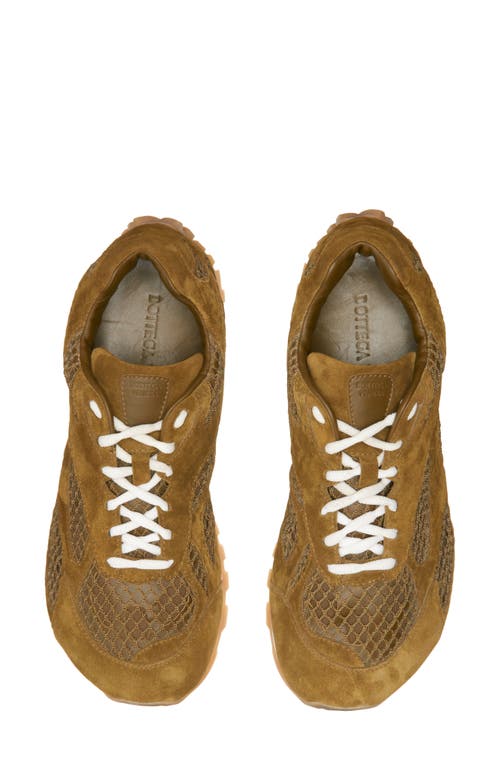 Bottega Veneta Orbit Low Top Sneaker In Multi