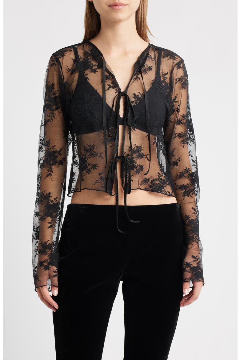 Camille Velvet Trim Sheer Crop Top, Main, color, BLACK LACE