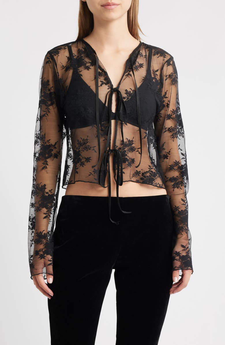 Bella Venice Camille Velvet Trim Sheer Crop Top, Main, color, Black Lace