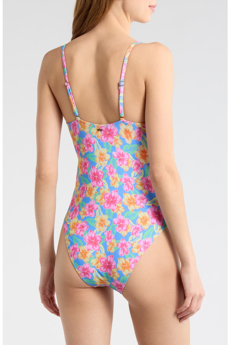 Malibu Cove D- to DD-Cup One-Piece Swimsuit, Alternate, color, BLUE