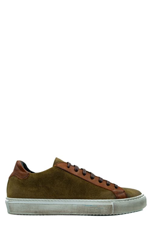 Belvedere Rino Low Top Sneaker In Ant. Cognac