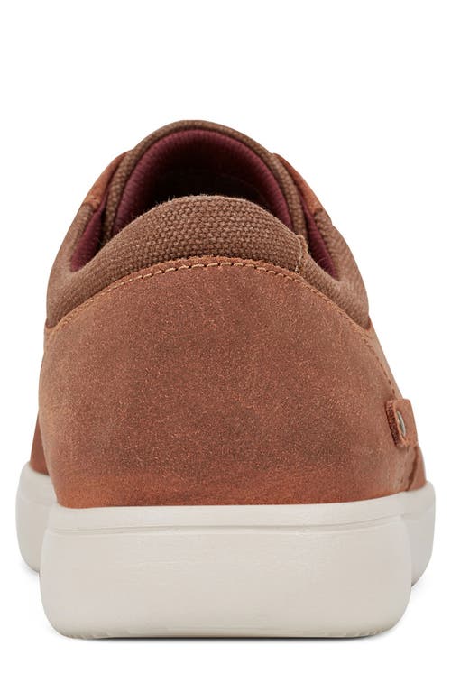 Rockport Colletie Sneaker In Medium Natural