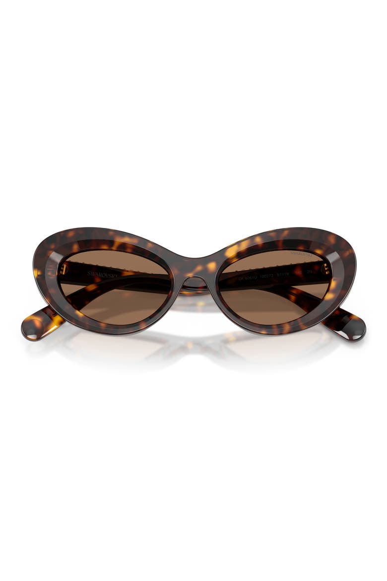 51mm Cat Eye Sunglasses, Alternate, color, HAVANA / DARK BROWN