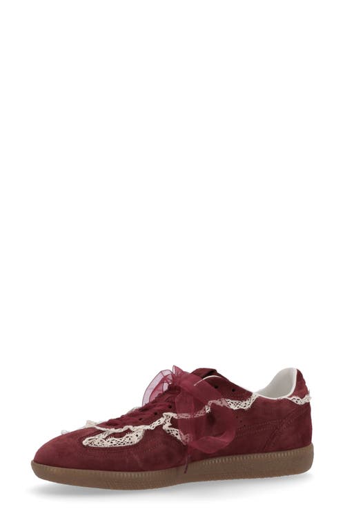 Alohas Burgundy Leather Tb 490 Crochet Sneakers In Brown