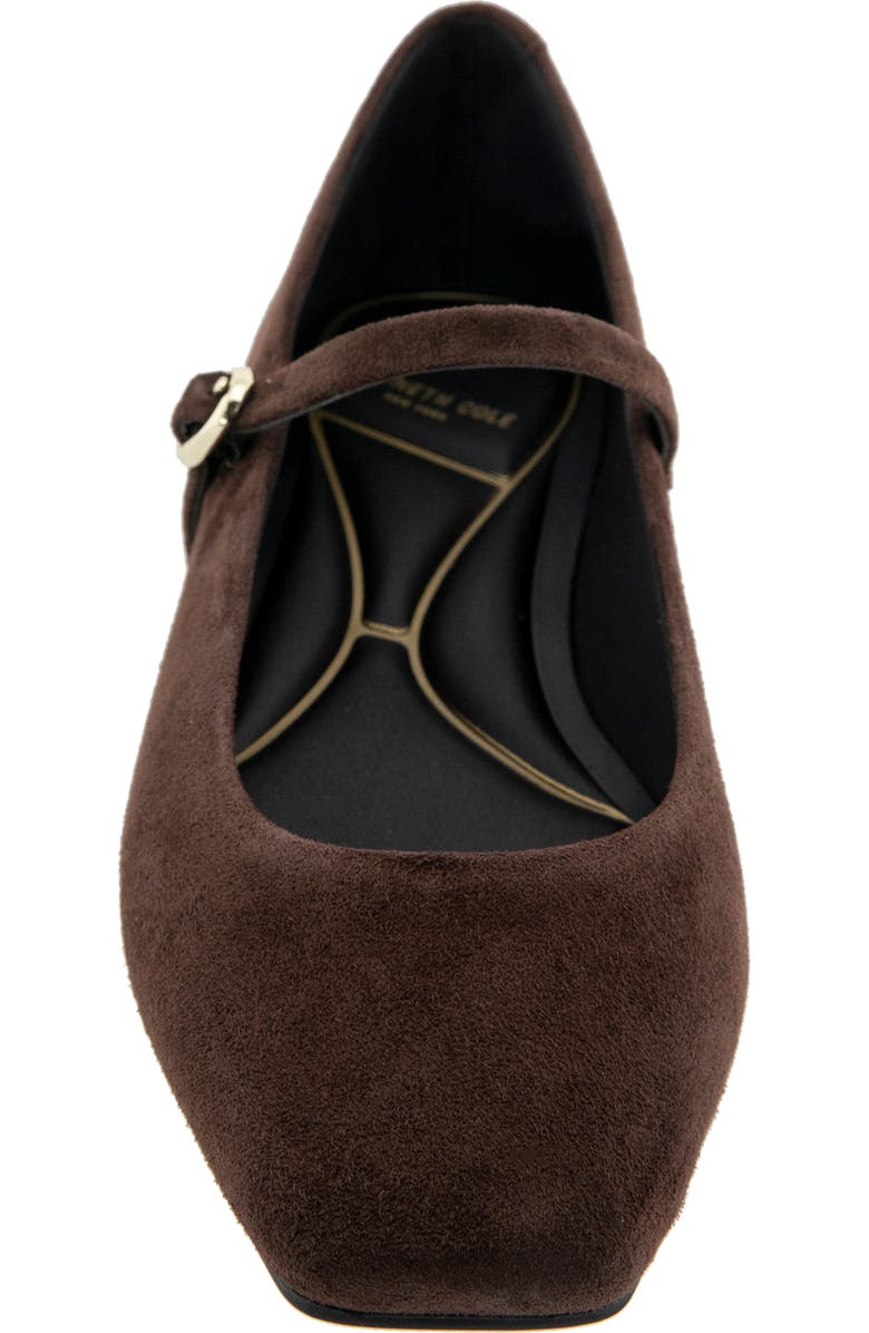Kenneth Cole Jasper Mary Jane Flat, Alternate, color, Chocolate Suede