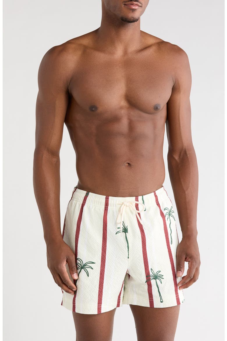 Palm Embroidered Stripe Swim Trunks, Main, color, GREEN/ WHITE