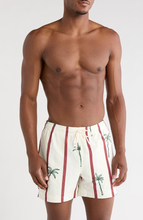 Palm Embroidered Stripe Swim Trunks