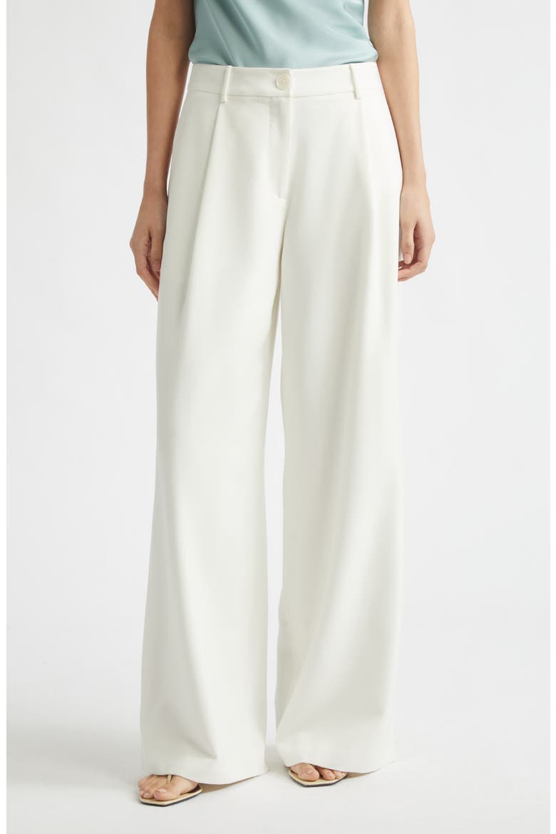 Solara Pleat Front Wide Leg Pants, Main, color, OPTIC