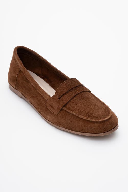 Forever & Always Shoes Dorothy Leather Loafer in Brown Suede Leather at Nordstrom, Size 9.5