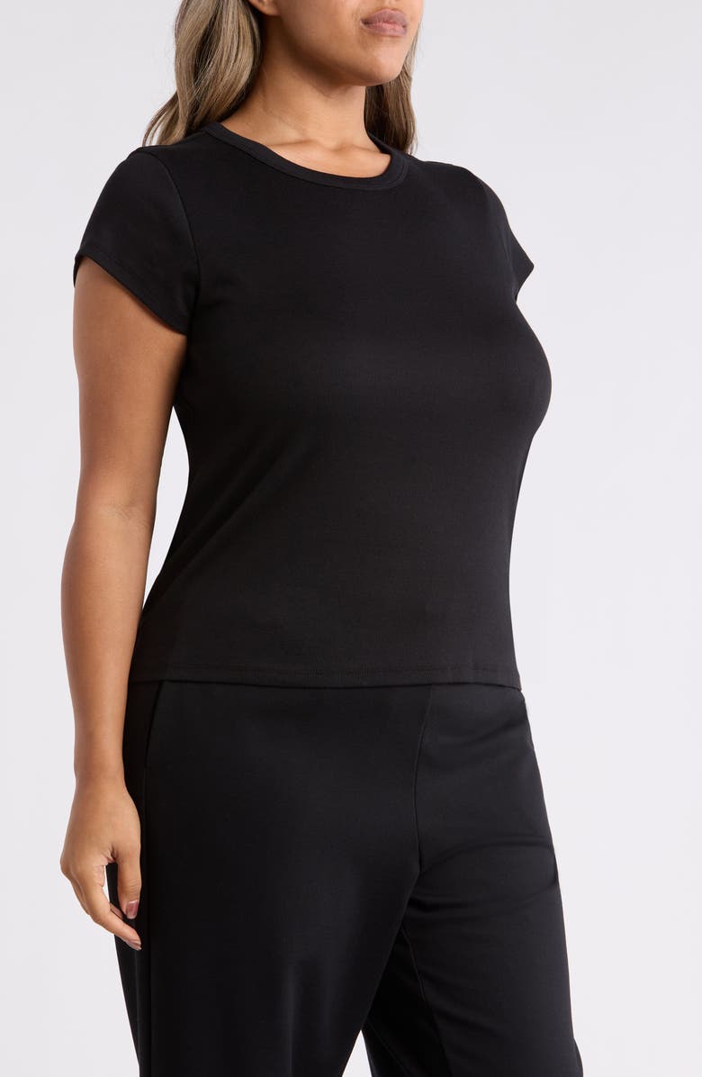 Eileen Fisher Rib Crewneck Organic Cotton T-Shirt, Alternate, color, Black