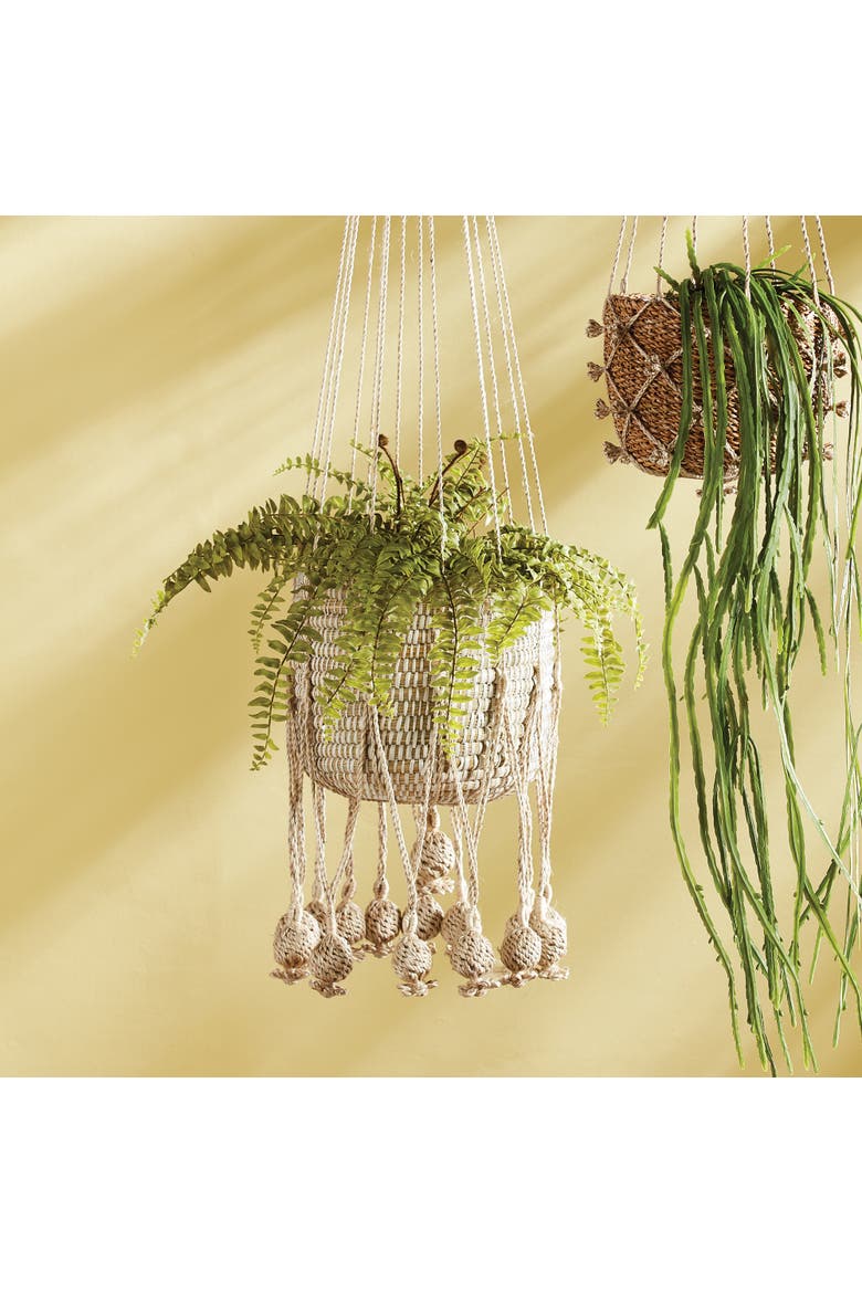 Boston Fern Drop-In 16", Alternate, color, Green