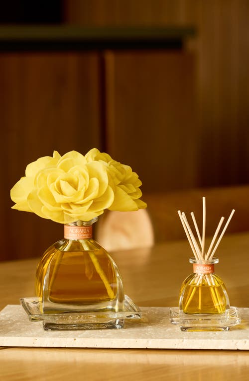 Agraria San Francisco Holiday Petite Diffuser In Yellow