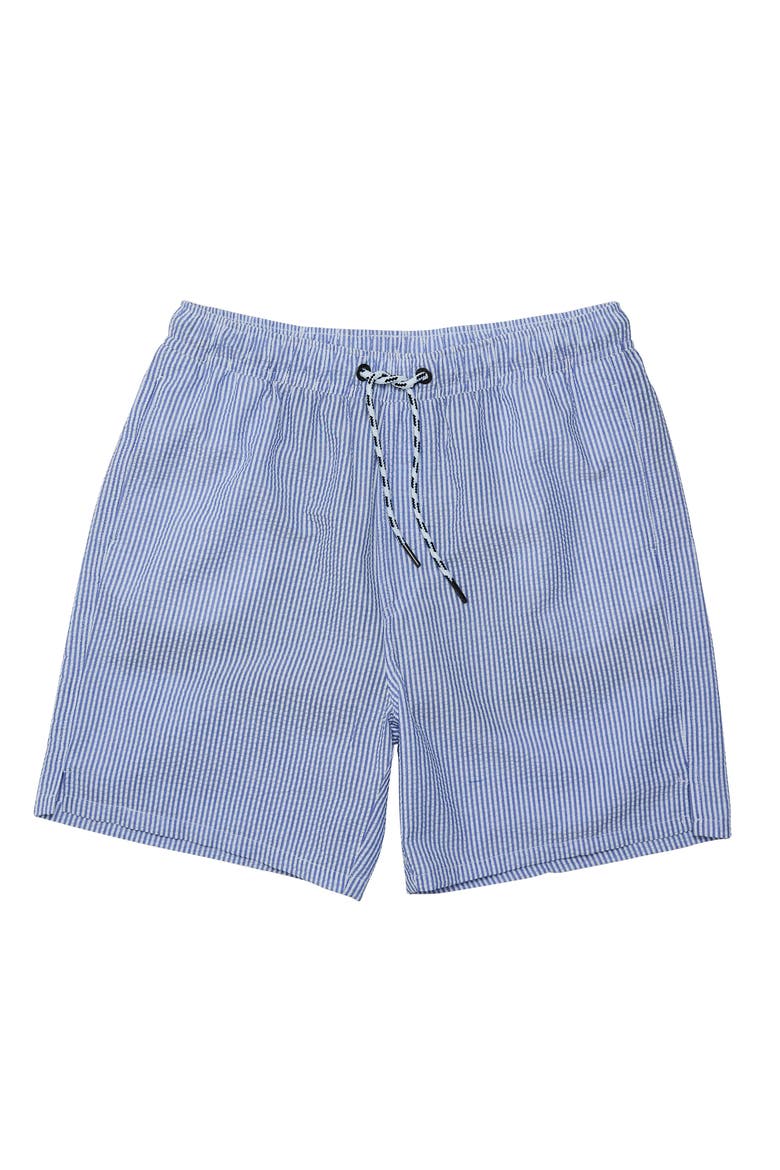 Comfort Lined Swim Shorts, Main, color, Parisian Summer