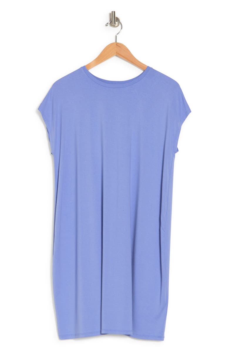 Eileen Fisher Crewneck Boxy Dress, Alternate, color, 