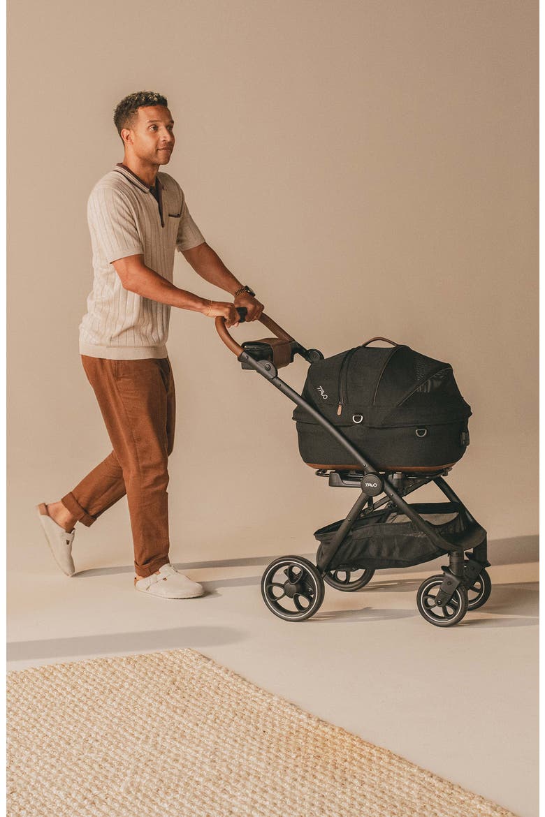 Maeve™ Small Flex 3-in-1 Pet Car Seat & Stroller, Alternate, color, MERLE